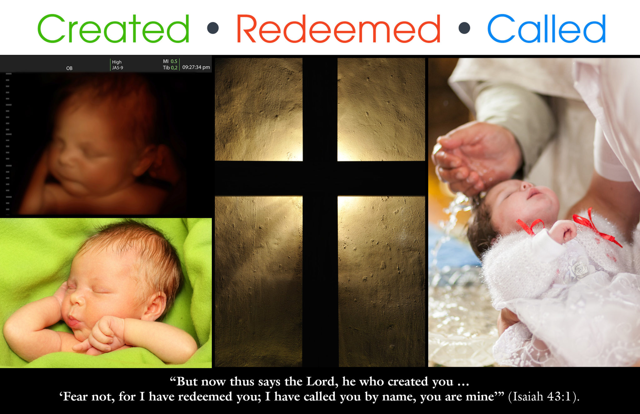 Created • Redeemed • Called – A Message for Life Sunday - Lutherans For