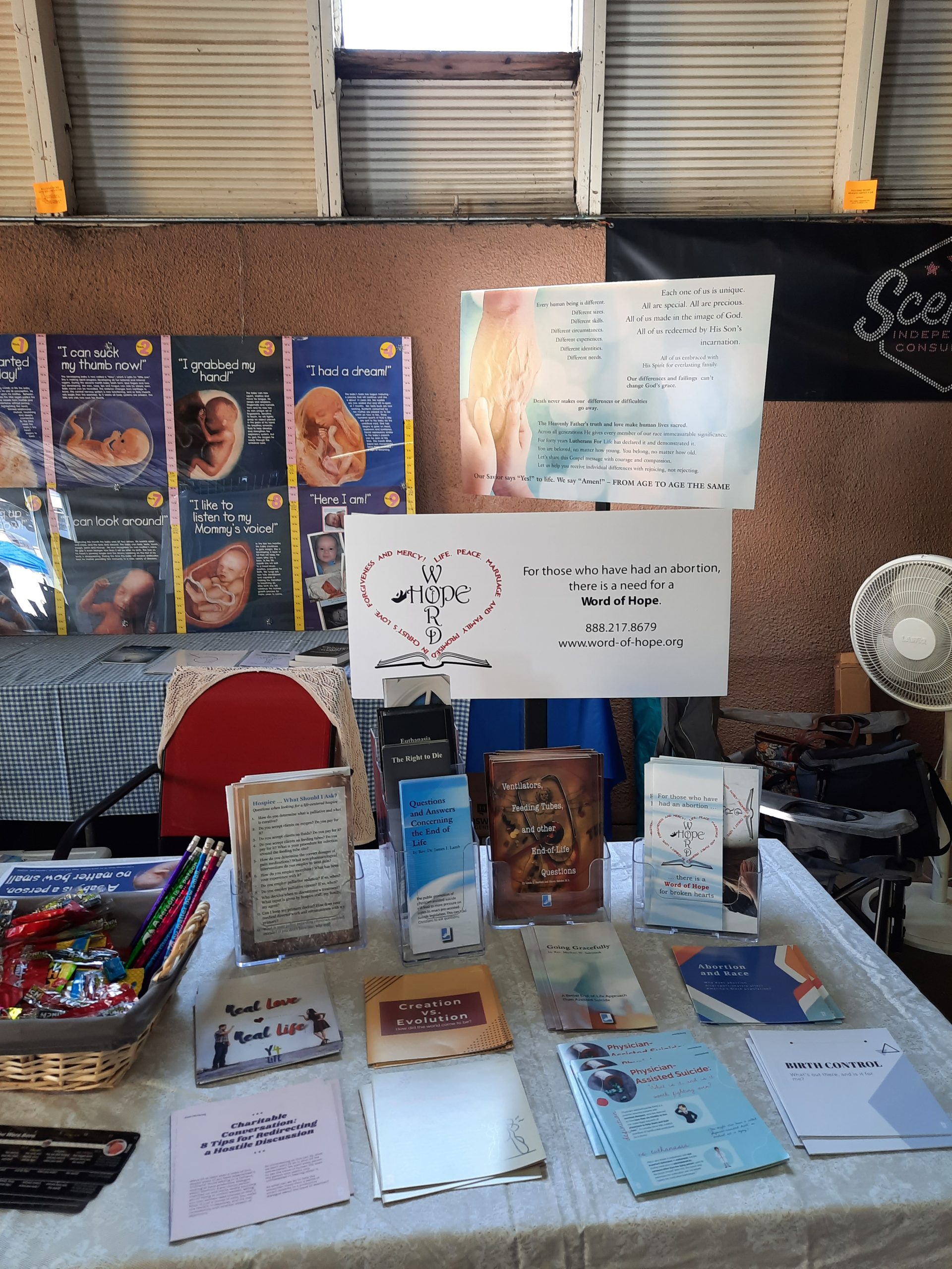 Life Project: LFL County Fair Display - Lutherans For Life